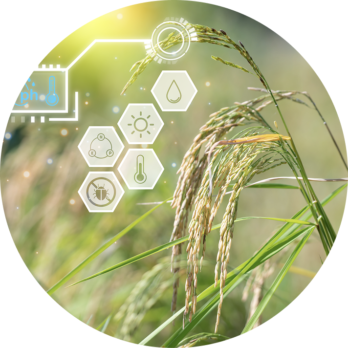 Capstone Project พัฒนาระบบ Smart Farming